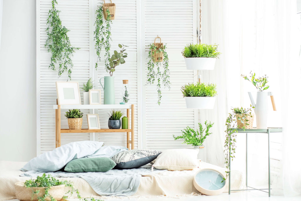 Room with plants and a bed 