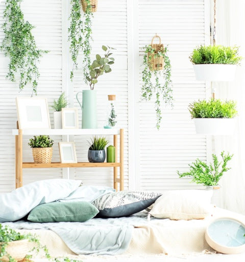 Room with plants and a bed 