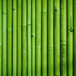 05.10 BAMBOO